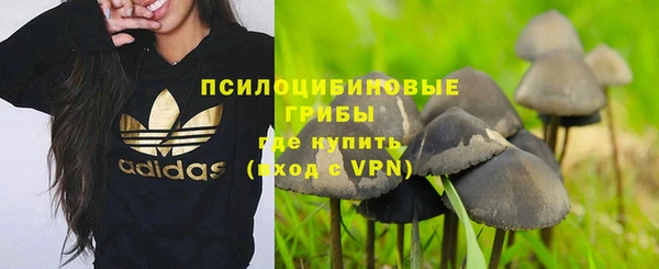 мет Армянск