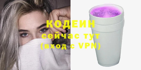 ПСИЛОЦИБИНОВЫЕ ГРИБЫ Арсеньев