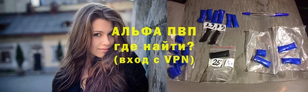дурь Няндома