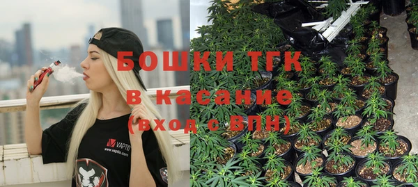 стафф Осинники
