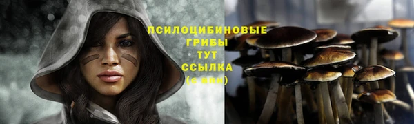 ПСИЛОЦИБИНОВЫЕ ГРИБЫ Арсеньев