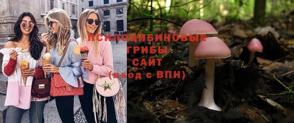 ПСИЛОЦИБИНОВЫЕ ГРИБЫ Арсеньев