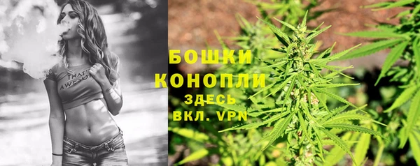 твердый Нягань