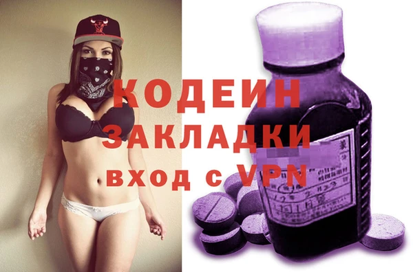 ПСИЛОЦИБИНОВЫЕ ГРИБЫ Арсеньев