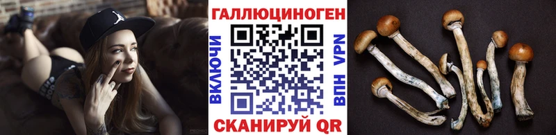 Псилоцибиновые грибы Magic Shrooms  Нолинск 